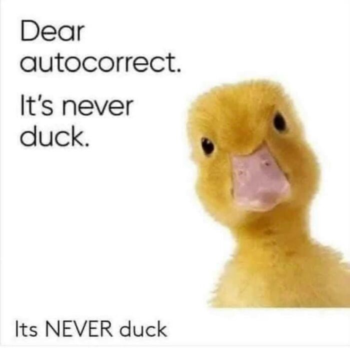 Duck meme humor about autocorrect errors with the phrase "It's never duck."