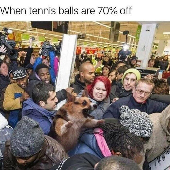 Crowd humorously rushes into a store, featuring a raccoon amidst the chaos, showcasing fluent sarcasm.