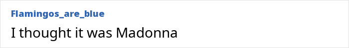 Comment by user Flamingos_are_blue: "I thought it was Madonna" under a post related to Cyndi Lauper's appearance.