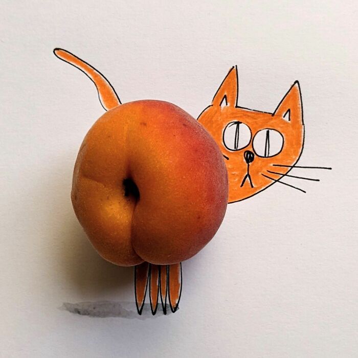 Playful illustration with an apricot forming the body of a drawn cat by Romain Joly.