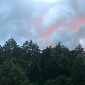 artwithalyssa avatar