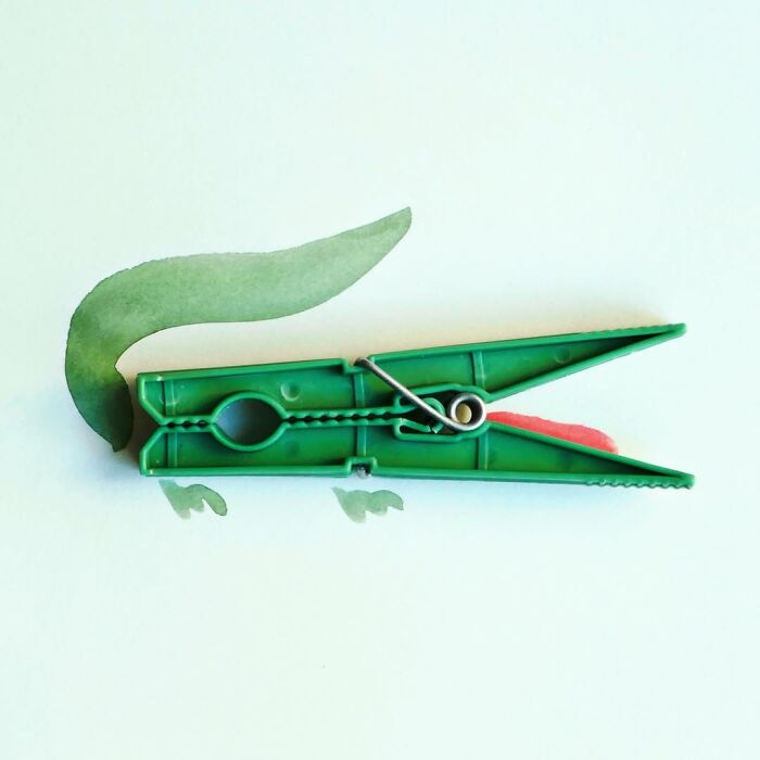 A green clothespin cleverly transformed into an alligator illustration by Romain Joly.