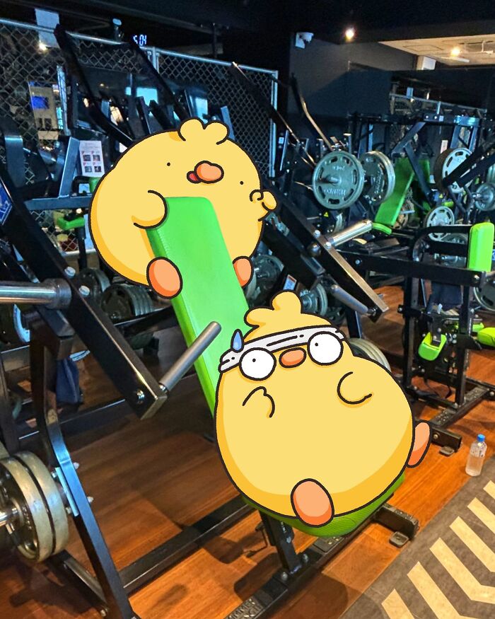 Cartoon birds Birb and Poku exercising at the gym, surrounded by weightlifting equipment.