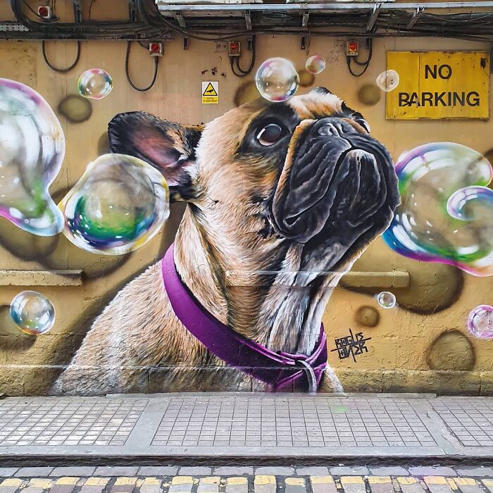 Mural of a French bulldog with bubbles on a Glasgow wall.