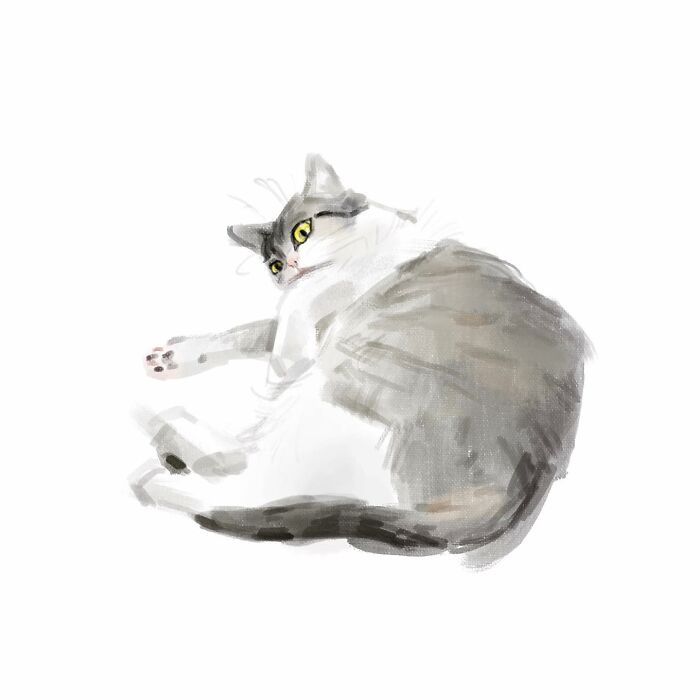 Realistic digital cat art by Jinodae, featuring a lounging gray and white feline.