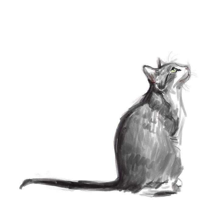 Digital cat art by Jinodae, featuring a realistic drawing of a gray cat with green eyes looking upward.