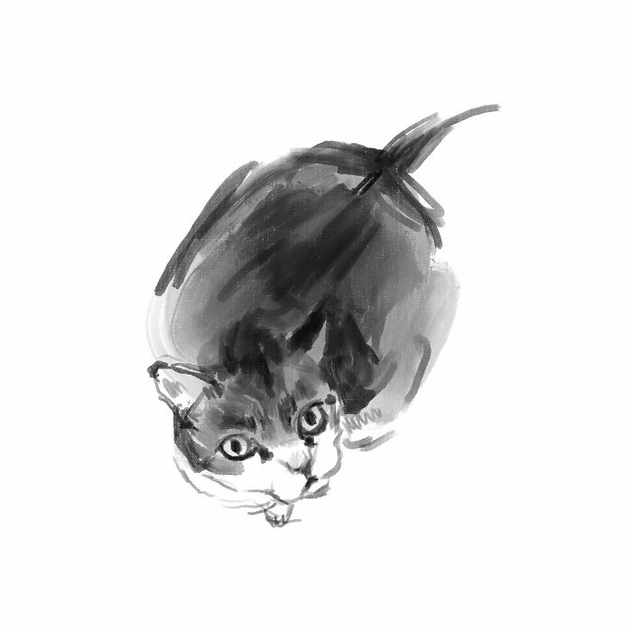 Realistic cat drawing by Jinodae, capturing lifelike feline details in simple brushstrokes.