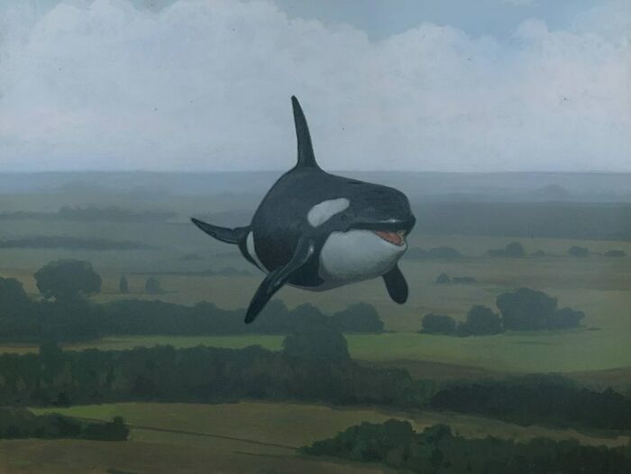 Surreal painting of a killer whale floating over a pastoral landscape, illustrating animals in unexpected settings.