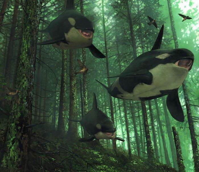 Orcas swimming through a dense forest, blending animals with unexpected landscapes in surreal art.