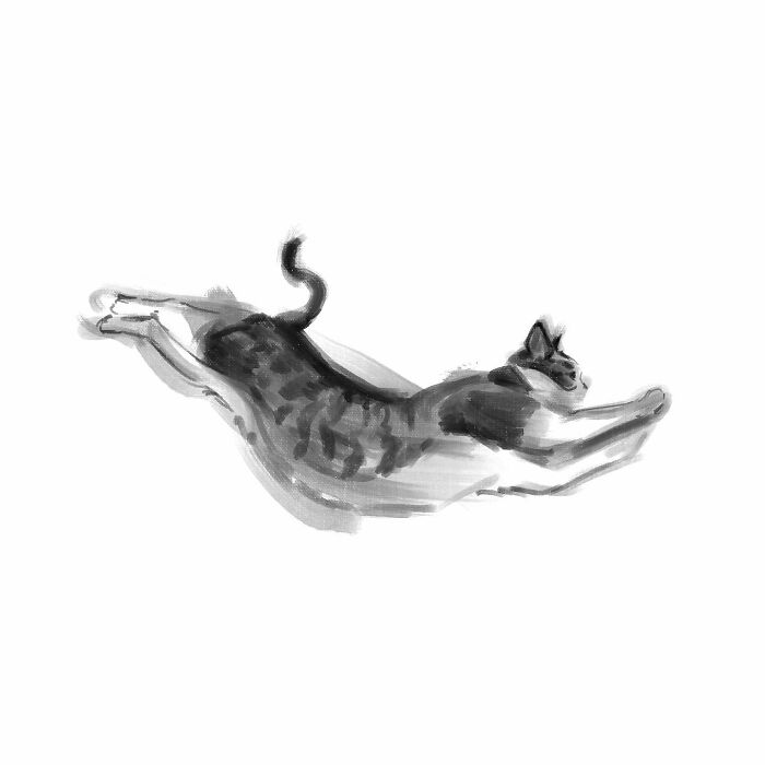 Realistic digital cat art by Jinodae depicting a leaping feline in simple strokes.