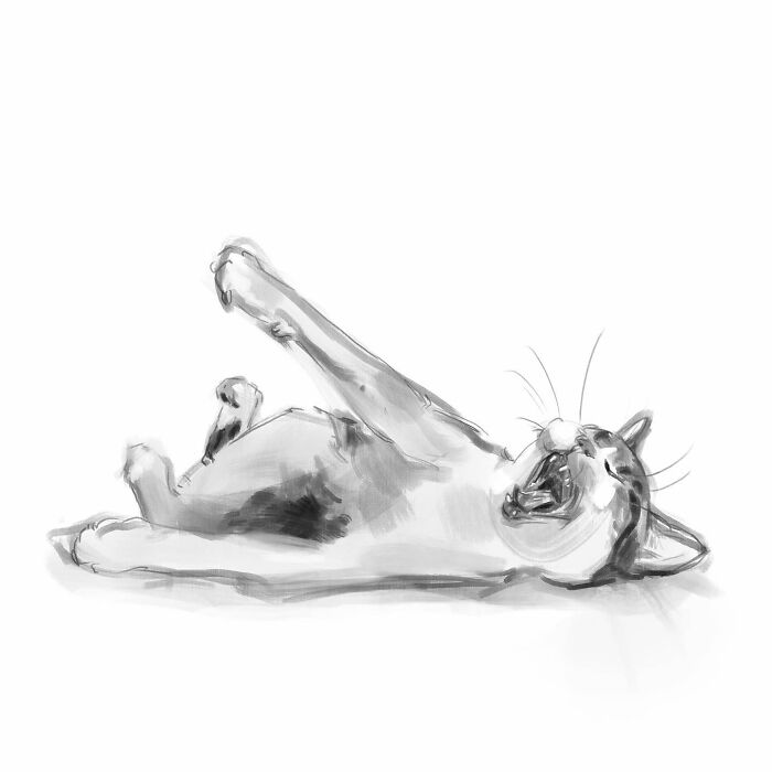Digital cat art by Jinodae shows a realistic, yawning feline in a simple sketch.