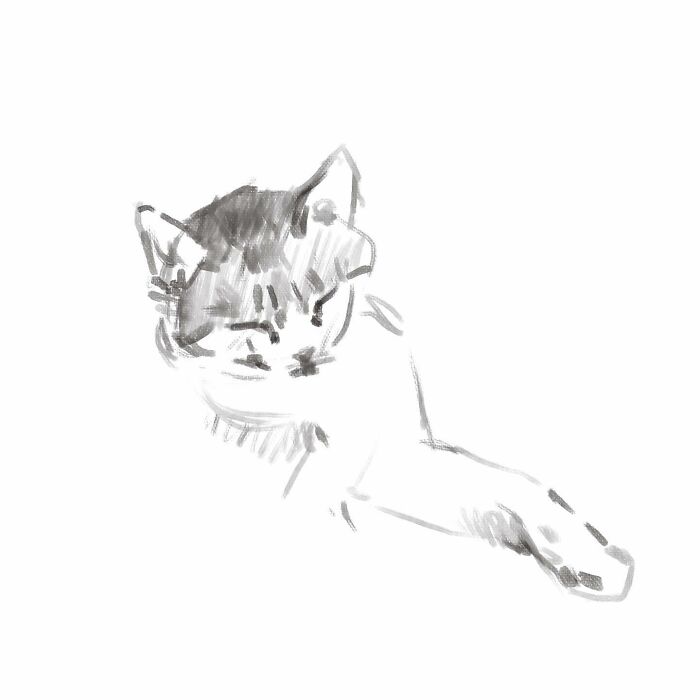 Simple, realistic digital cat art by Jinodae, featuring a grayscale drawing of a lounging feline.