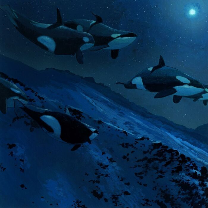 Orcas gracefully swimming through a starry night sky, illustrating animals in unexpected landscapes.