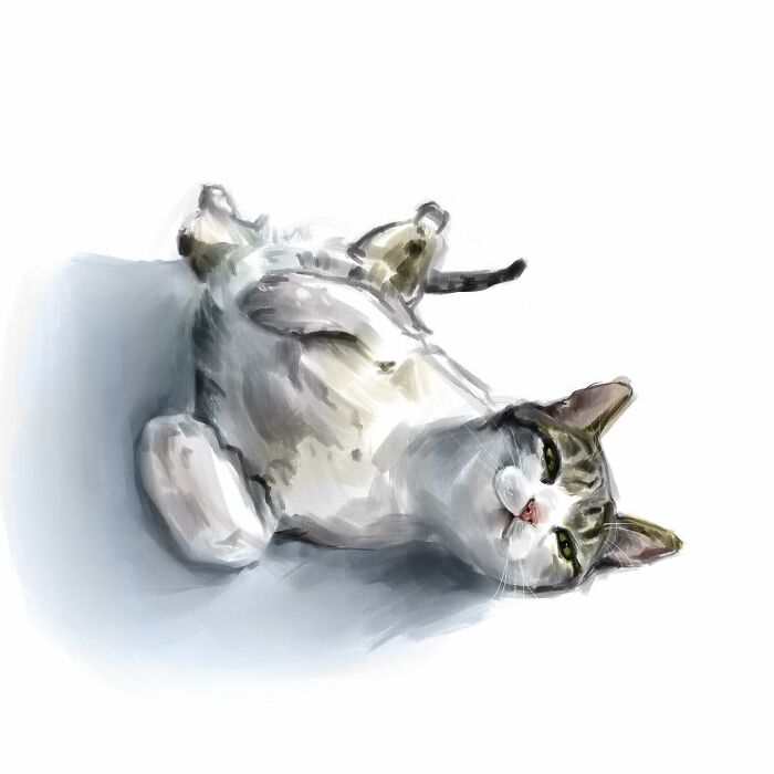 Realistic digital cat art by Jinodae, featuring a relaxed feline lying on its back in a simple design.