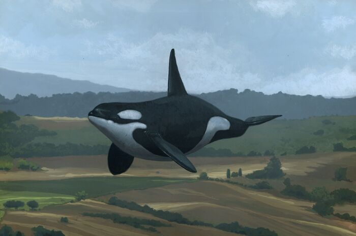Orca soaring over a pastoral landscape, showcasing animals in unexpected landscapes.