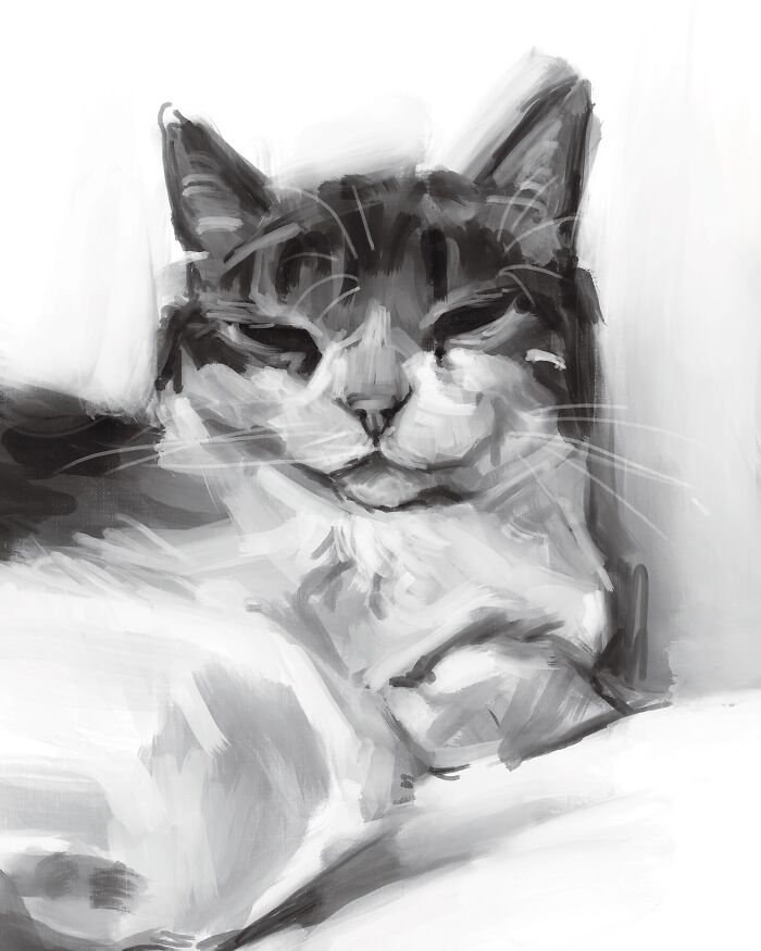 Realistic digital cat art by Jinodae, capturing a peaceful feline in monochrome brushstrokes.