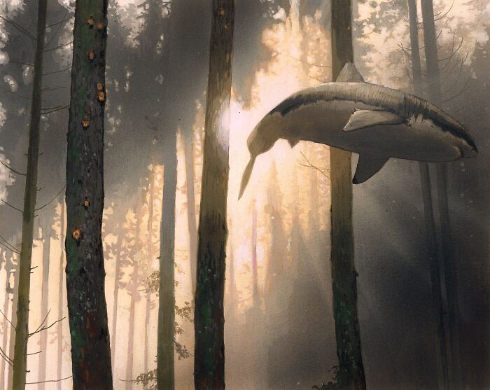 A surreal painting of a shark swimming through a misty forest, combining animals and unexpected landscapes by Chris Austin.