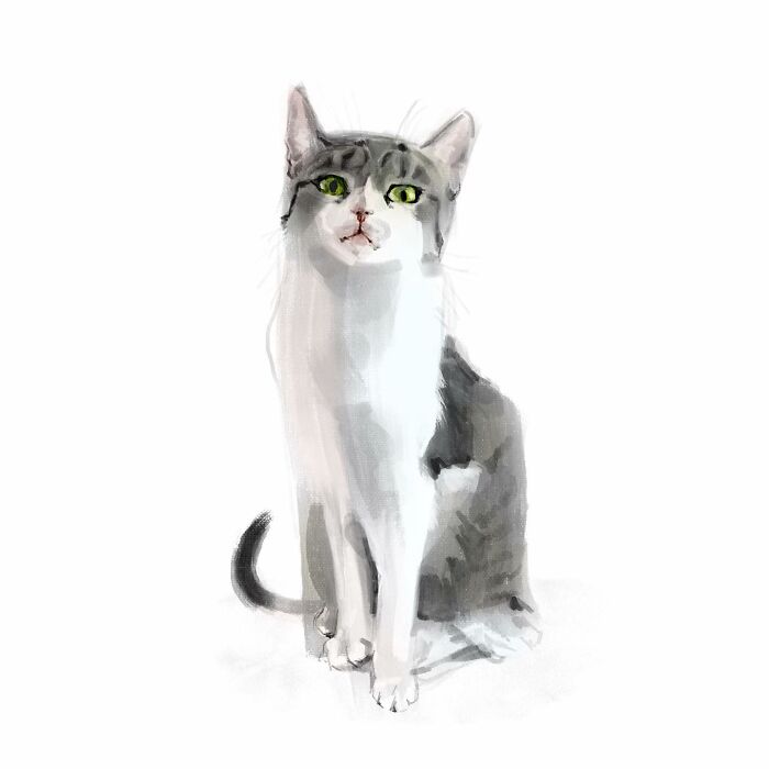 Realistic digital cat art by Jinodae, featuring a gray and white feline with green eyes on a white background.
