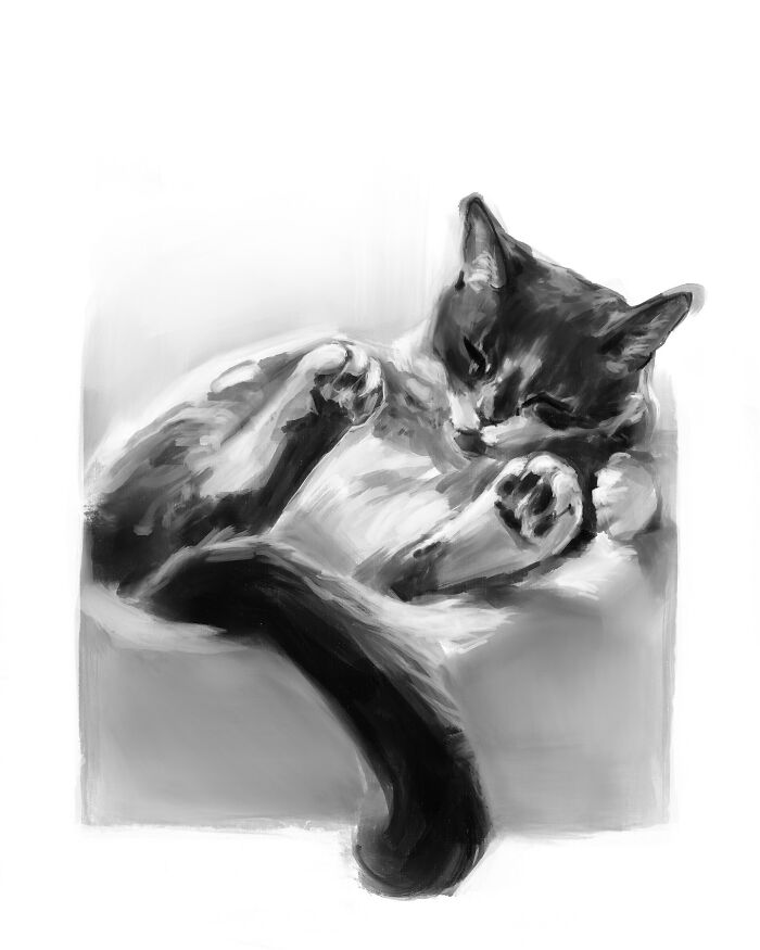 Realistic digital cat art by Jinodae, featuring a relaxed feline in black and white.