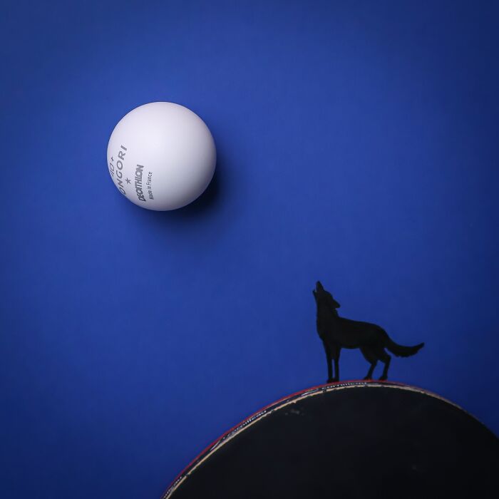 Illustration by Romain Joly of a wolf silhouette howling at a ball against a blue background.