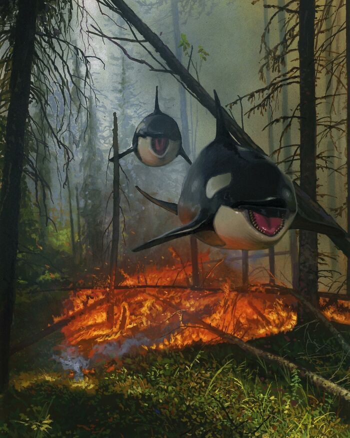 Swimming orcas in a burning forest, surreal painting by Chris Austin featuring animals in unexpected landscapes.
