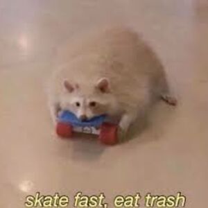 auroragallegos avatar