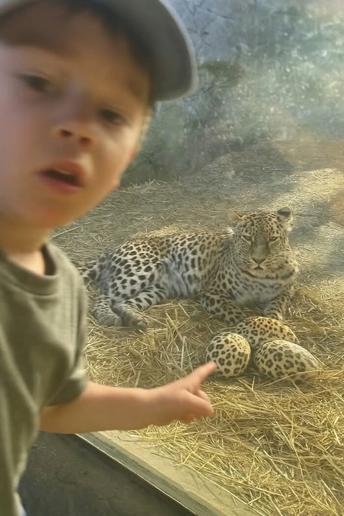 Child pointing at a leopard behind glass, humorously mirroring the animal's spots.