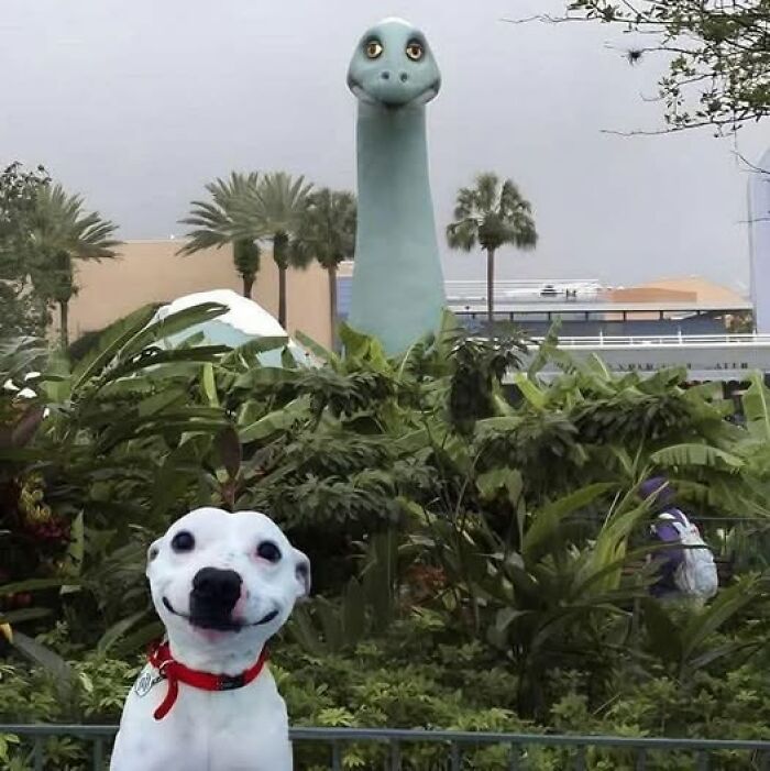 Smiling dog in front of a dinosaur statue, creating a hilarious and important animal image moment.