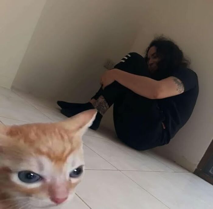 Orange cat with wide eyes in focus, person sitting in the corner, creating a hilarious animal image moment.