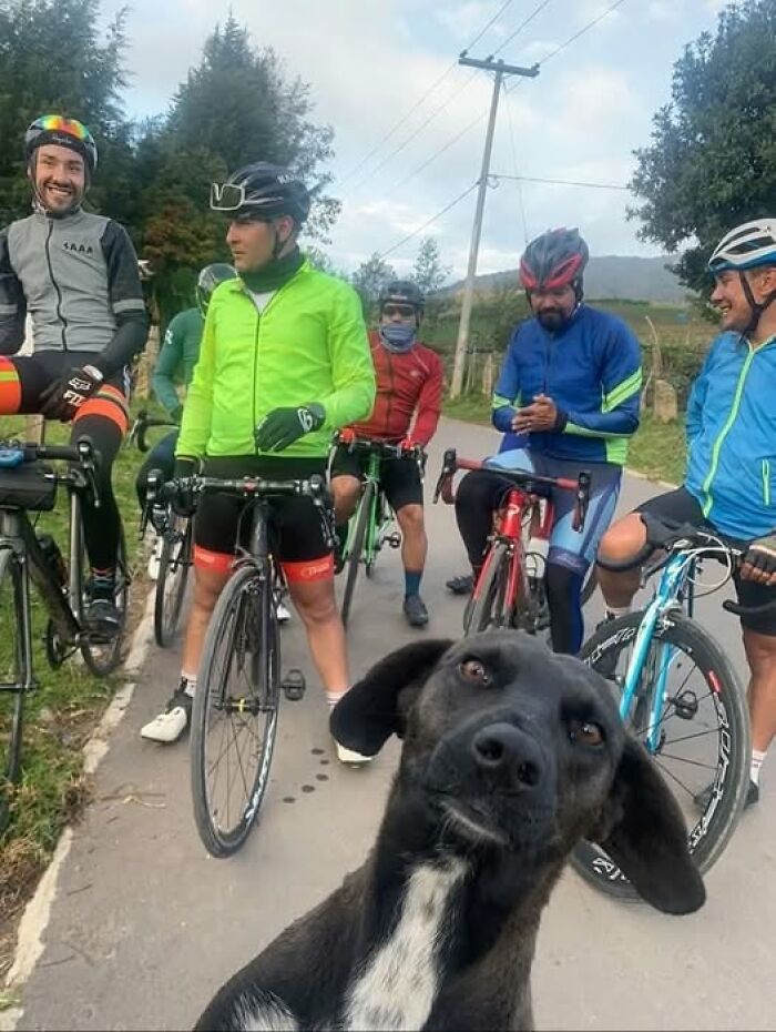 Dog takes a selfie with cyclists on a road, highlighting a funny animal moment.