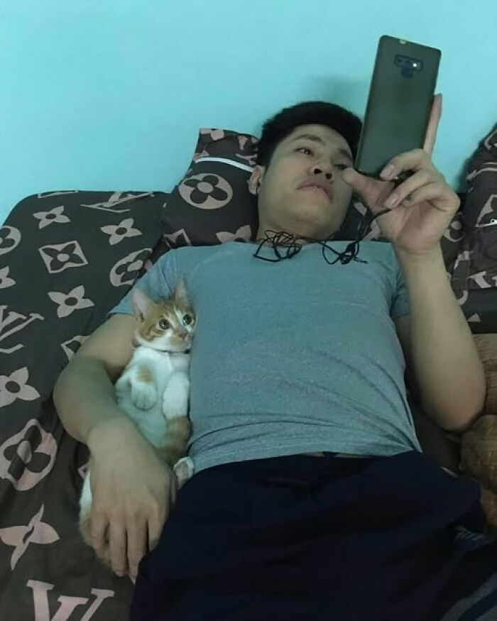Man lying with a cat, both watching a phone screen, capturing a hilarious moment with an animal.