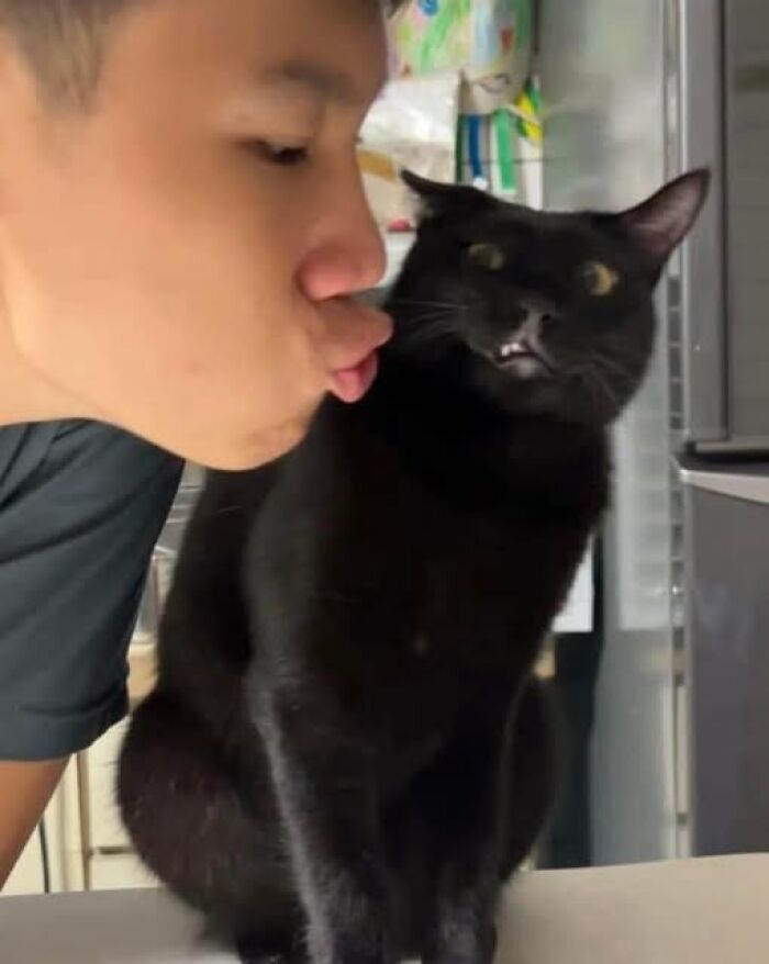 Person puckering lips near a surprised black cat, capturing a hilarious moment on camera.
