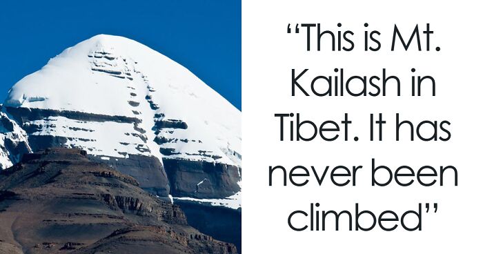 50 Fascinating Posts And Stories For The Curious Among Us