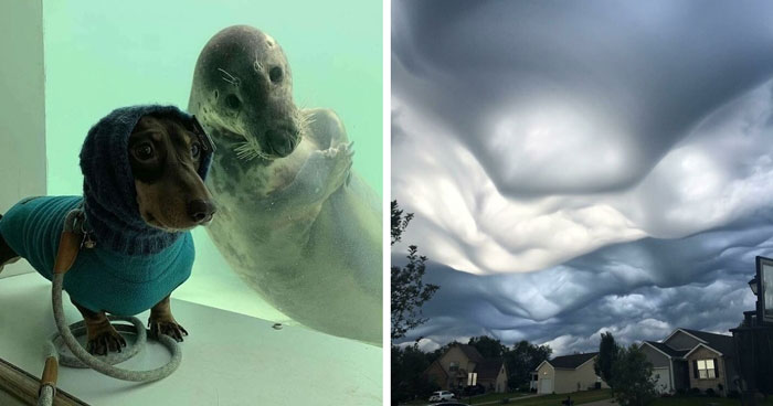 33 Strikingly Weird Images From A Dedicated Page For You To Gawk At