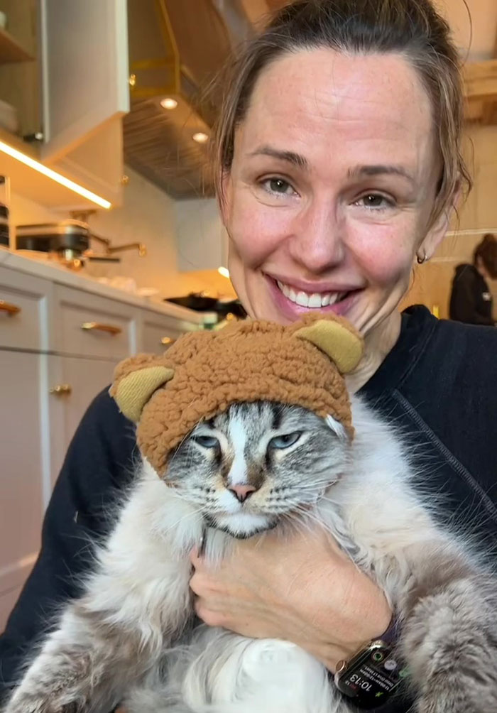 Person holding a cat wearing a brown hat in a kitchen, related to animal cruelty controversy and video filming. Person holding a cat wearing a brown hat in a kitchen, related to animal cruelty controversy and video filming.