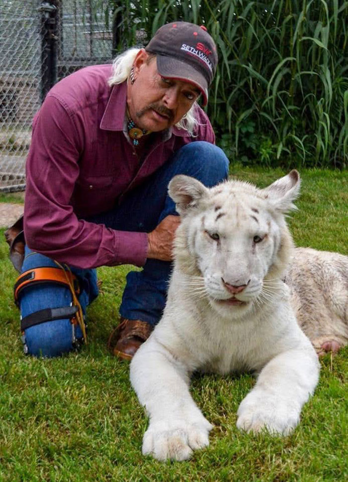 Man in a cap leaning towards a white tiger, showcasing a calm interaction.