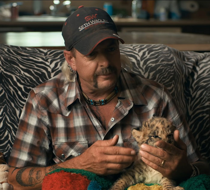 Man in plaid shirt and cap sitting on zebra-patterned sofa, holding a small tiger cub.