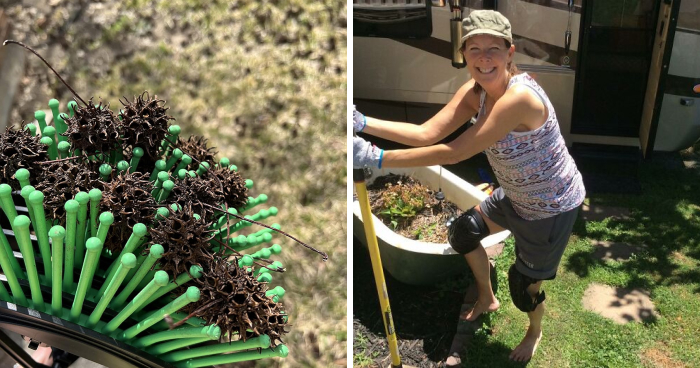 26 Genius Finds For Anyone Whose Gardening Style Is Best Described As ‘Benign Neglect’