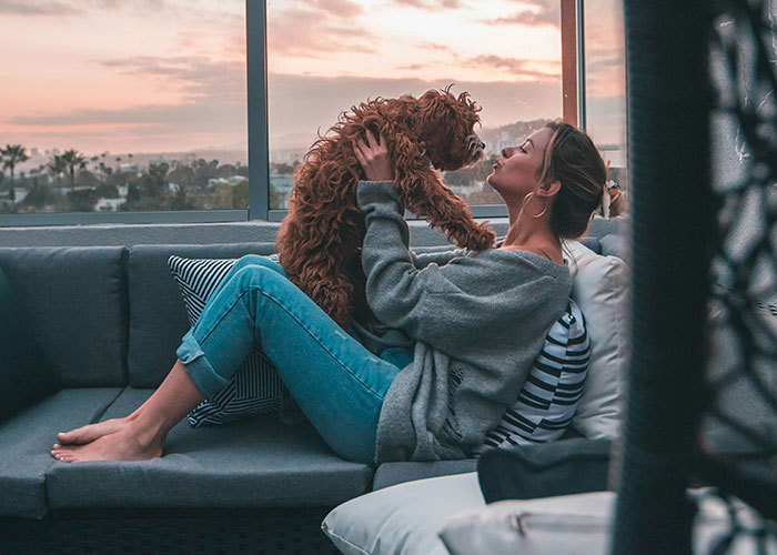 Woman on a couch with a dog, enjoying a sunset. Lifestyle choices highlighted in a cozy setting.