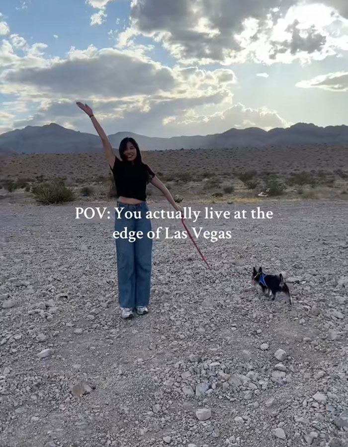 Person and dog on rocky terrain at the edge of Las Vegas, under a cloudy sky.