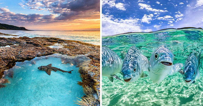 Colorful Underwater World Captured By Ocean Photographer Jordan Robins (48 Pics)