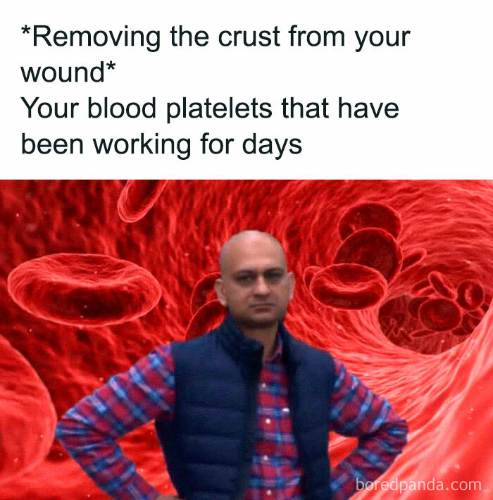 Man with crossed arms, serious expression, in front of red blood cells; humorous take on medical school experiences.