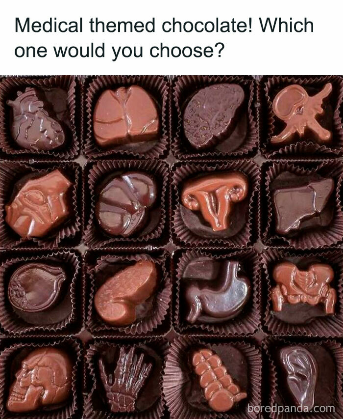 Medical school-themed chocolates resembling anatomical parts in a box arrangement.