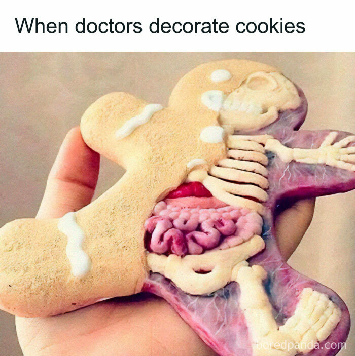 Medical school humor meme showing anatomically decorated gingerbread cookie.