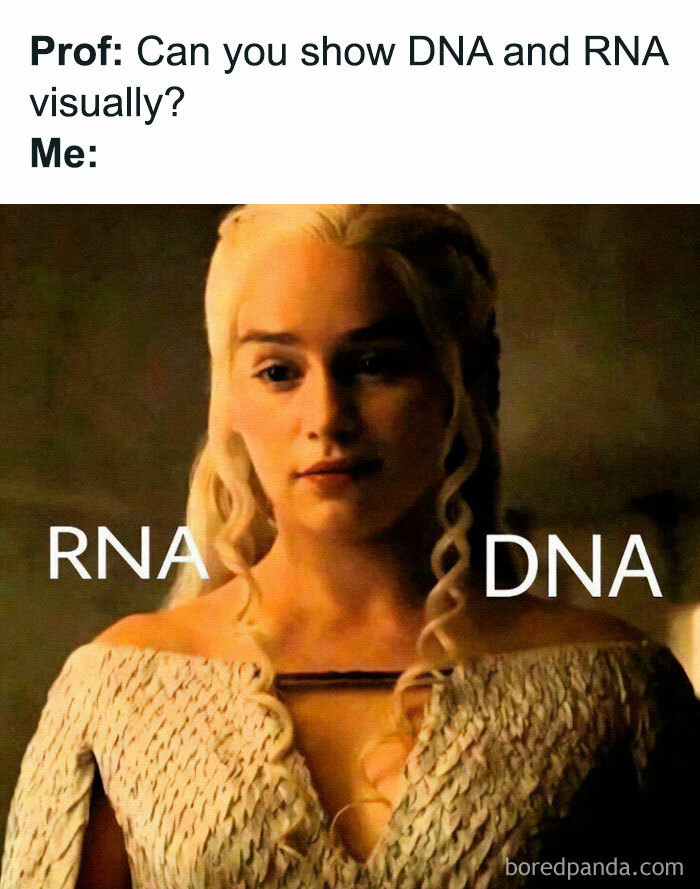 Medical school meme depicting RNA and DNA as character with braided hair.