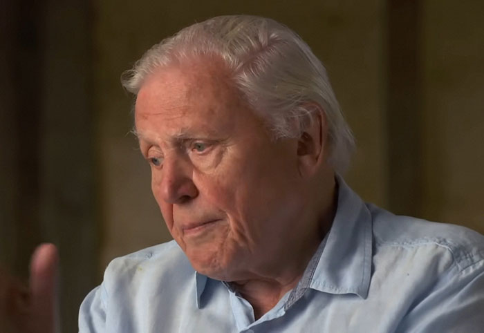 30 Stories That Either Glorified Or Vilified Some Of The Most Famous Celebrities