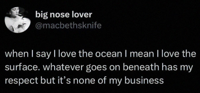 Funny meme about loving the ocean's surface while respecting what happens beneath.