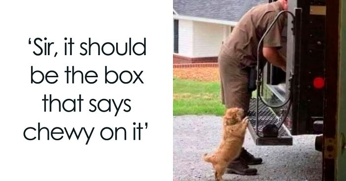 ‘The Daily Laughs’: 50 Ridiculously Good Memes To Improve Your Day