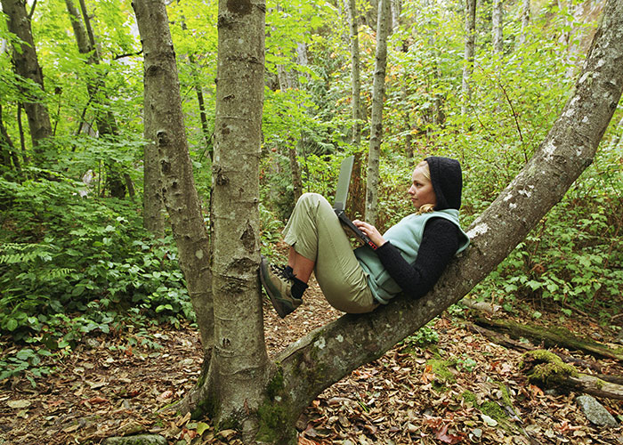 Person lounging on a tree branch in a forest, using a laptop.