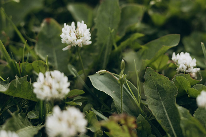 30 Myths That Were Widely Circulated Because Companies Were Good At Lying About Their Products